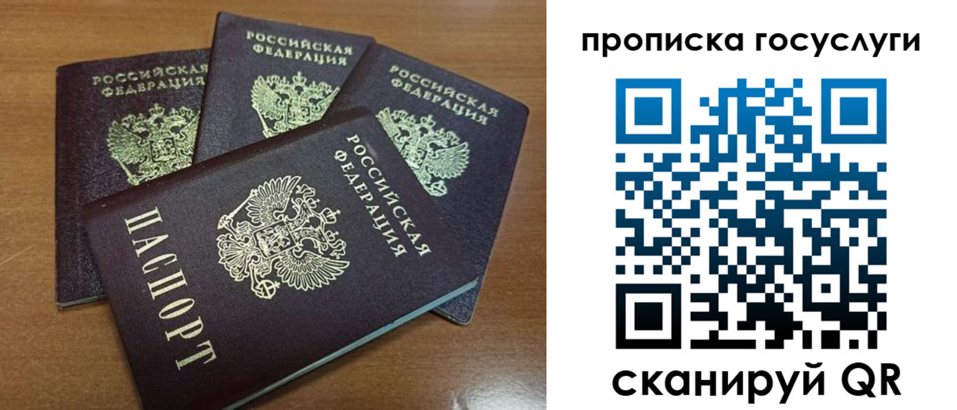 прописка 2025 в Фокино